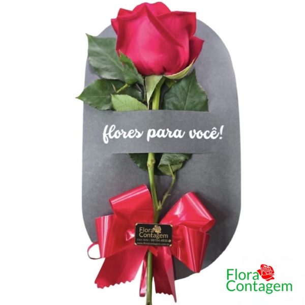   Rosa Carta: Flores para Você!